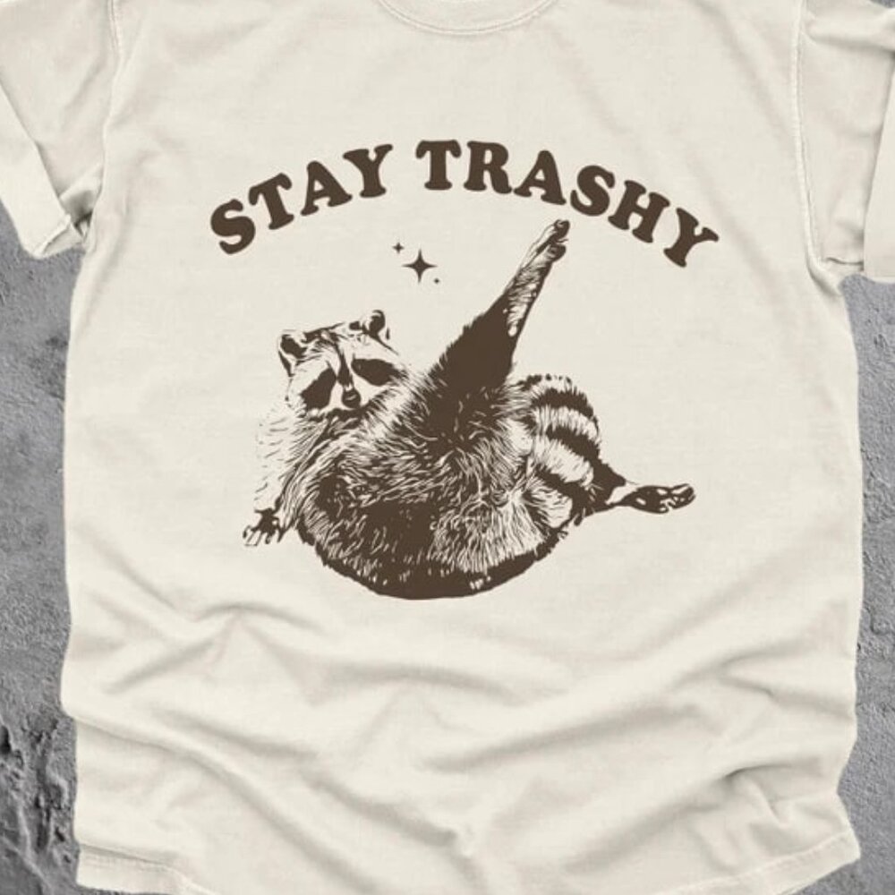 Vintage 90s Funny Racoon Shirt, Retro Y2k, Boho Aesthetic, Cute Shirt